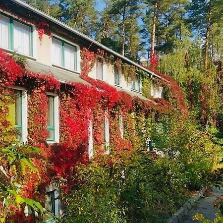Pension Zur Fledermaus Waren  Zewnętrze zdjęcie